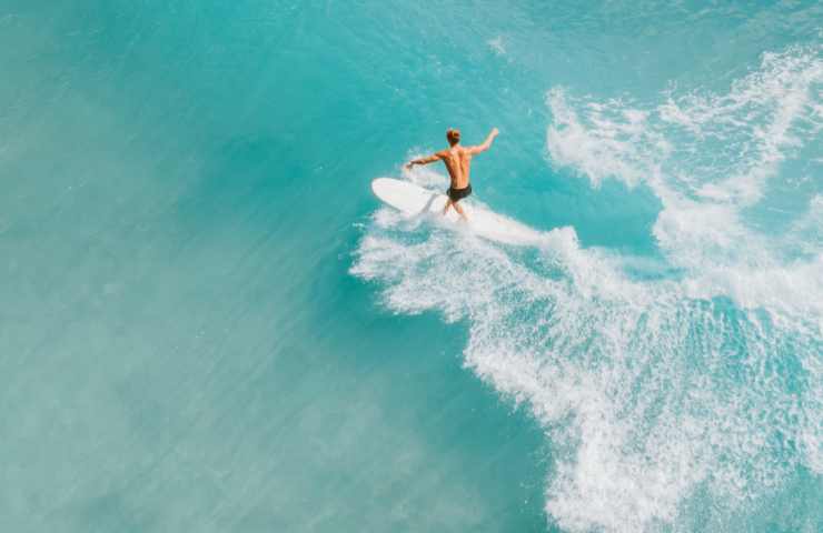 Squali nuotano vicino surfisti Usa