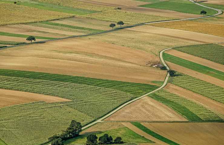 California Mesopotamia agricoltura cosa accade