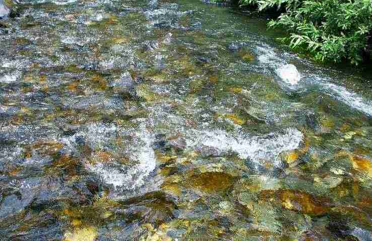 Passante salva cane torrente castoro