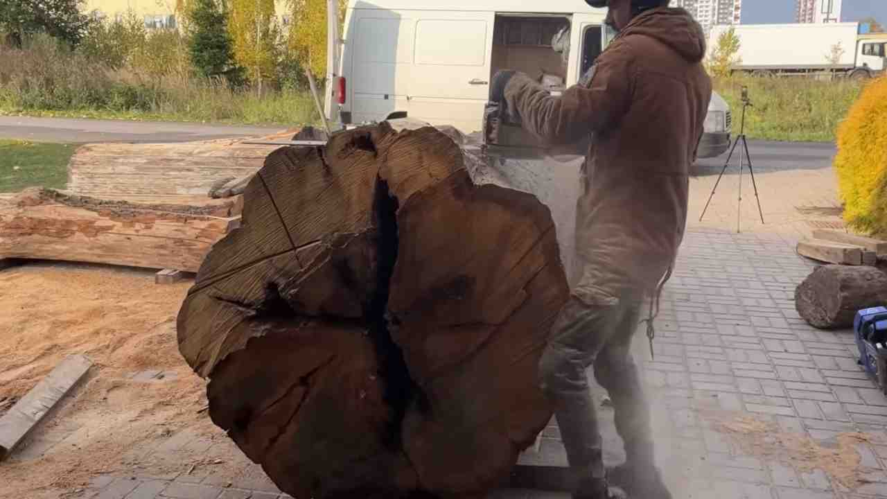 Interno tronco albero gigante favi funghi chiodi