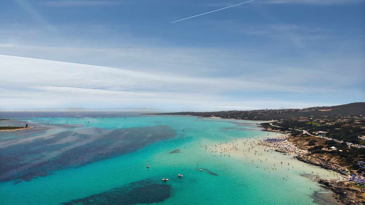 Tricodesmio microbo marino capacità aggregazione