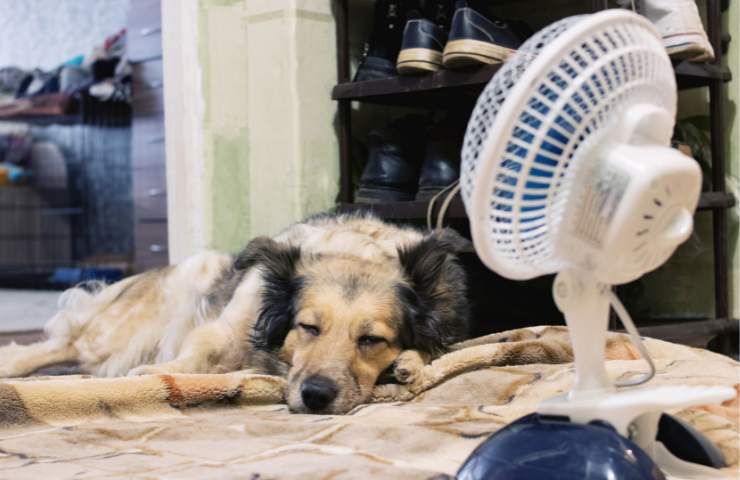 Caldo asfissiante di notte, i rimedi per riposare