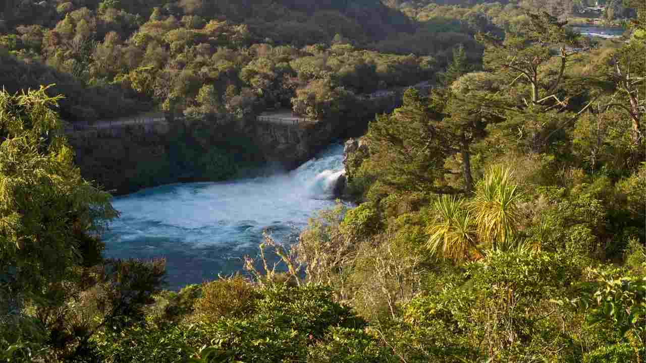 fiume Waikato ignorate sirene morta ragazza