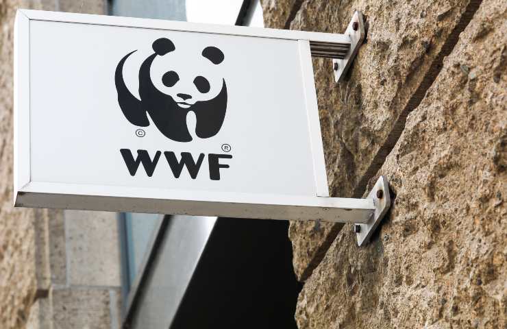 Lancio palloncini Wwf chiede sindaci tutela