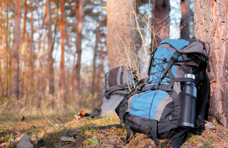 Sente dei rumori nel bosco e sente la paura pura