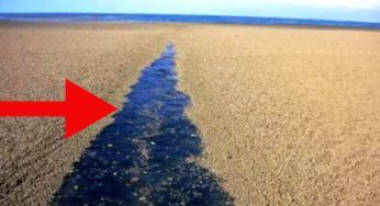 Più si avvicinano più rimangono confusi: la scoperta dei marinai è assurda