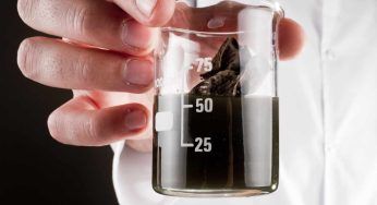 Colera: sintomi, come si trasmette e a chi rivolgersi per le cure