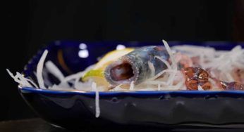 Green eel goby: pesce inquietante che viene servito vivo a tavola