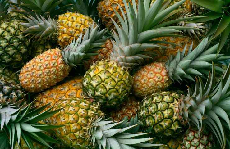 ananas da scarti