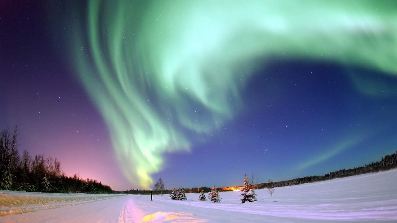 fenomeni naturali stupefacenti albero sgorga acqua