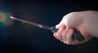 Harry Potter: in Romagna si trova il sambuco per la sua bacchetta