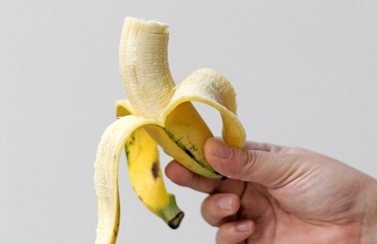 somiglianza dna uomo e banana