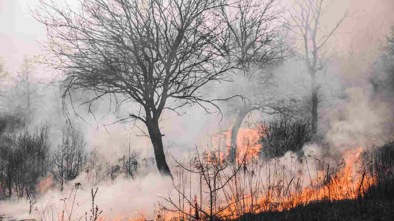 evitare gli incendi