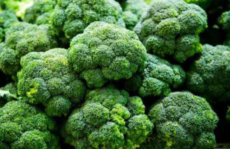 cura pianta broccoli