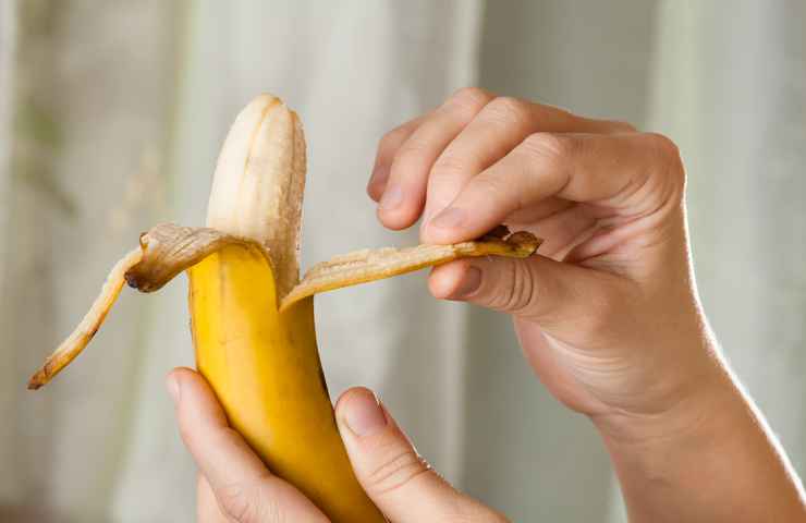 creare fertilizzante con buccia banana
