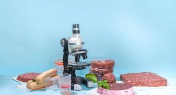 Divieto carne coltivata: capiamo perchè il NO fa discutere