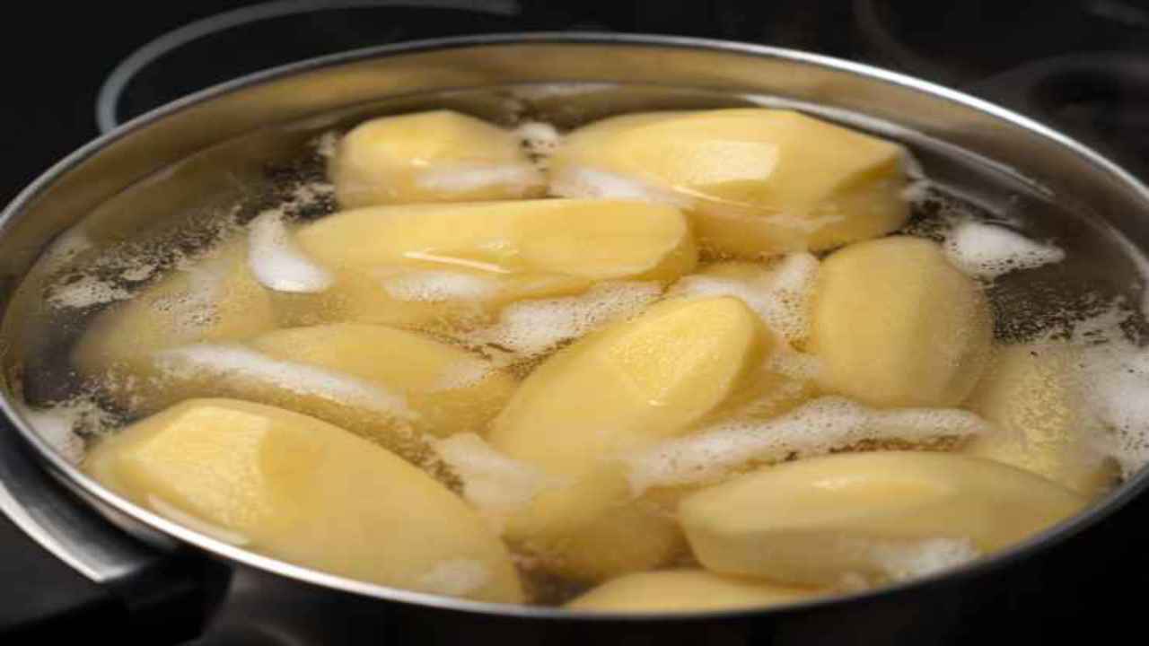 acqua patate fertilizzante 