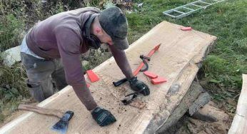 “Come ci è arrivato?”: lo trovano all’interno dell’albero, stupore dei falegnami