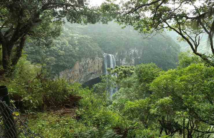 sahara foresta amazzonia benessere reciproco