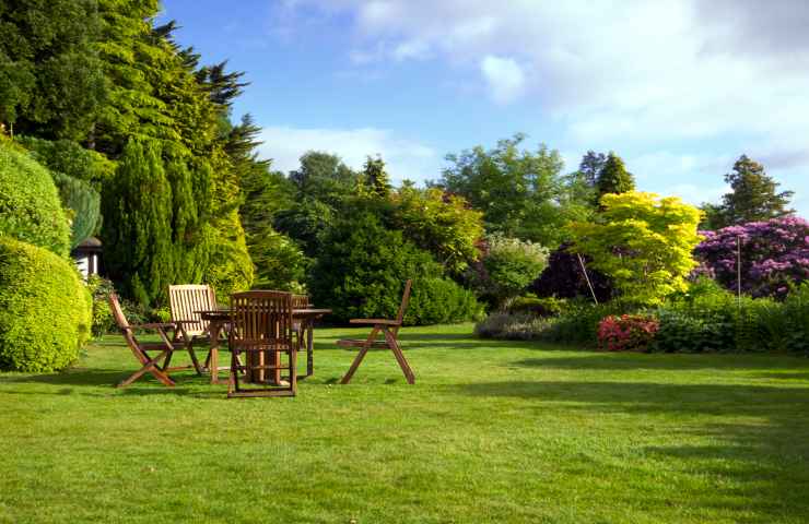 allontanare insetti giardino