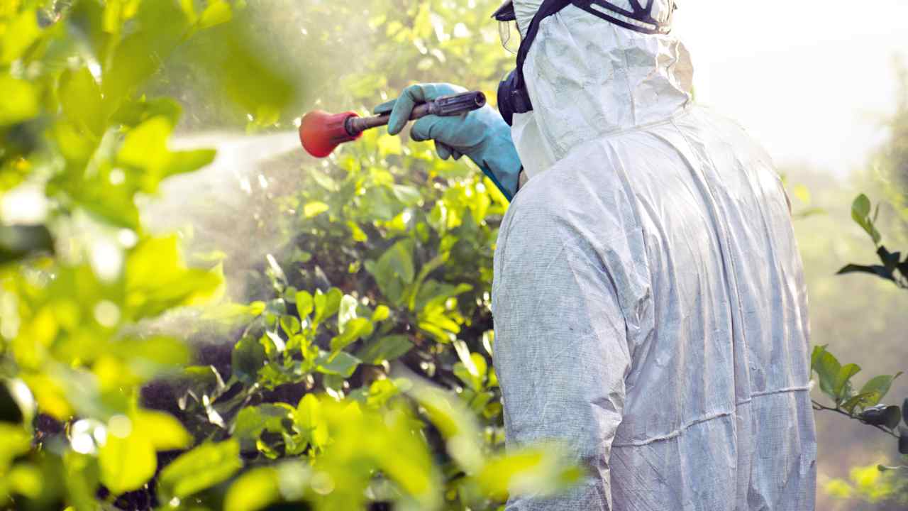 glifosato pesticida pericoloso