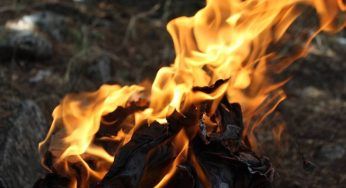 Perché in estate ci sono così tanti incendi? La verità sconcertante