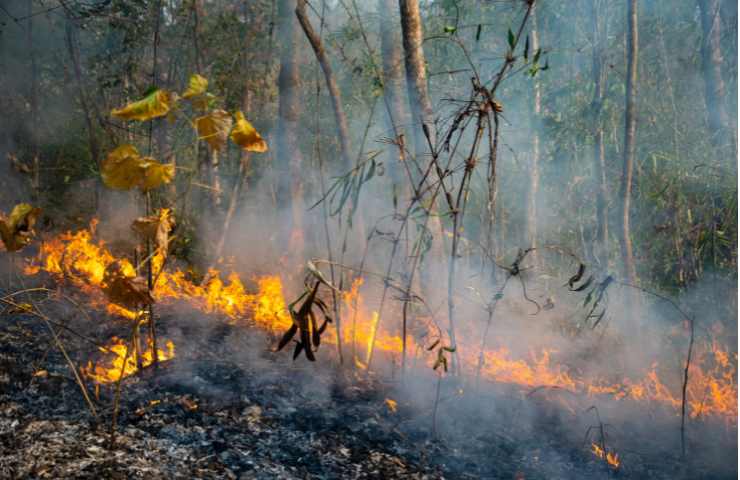 complotto cambiamenti climatici