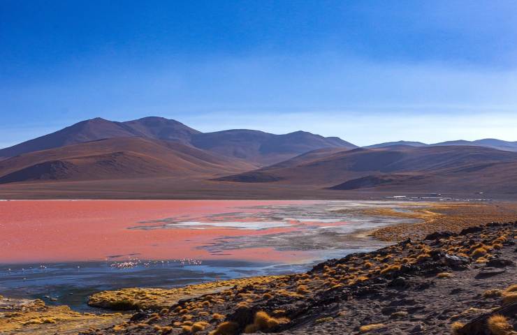 lago Natron acqua caustica letale