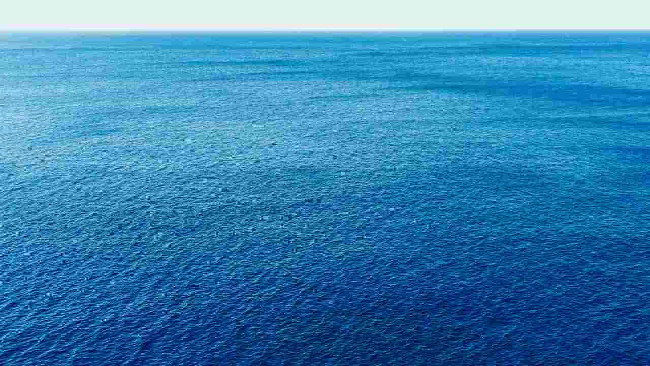 mar mediterraneo sofferenza aumento caldo estremo acqua