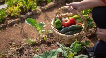 Nematodi: come liberarsi di questi parassiti del terreno