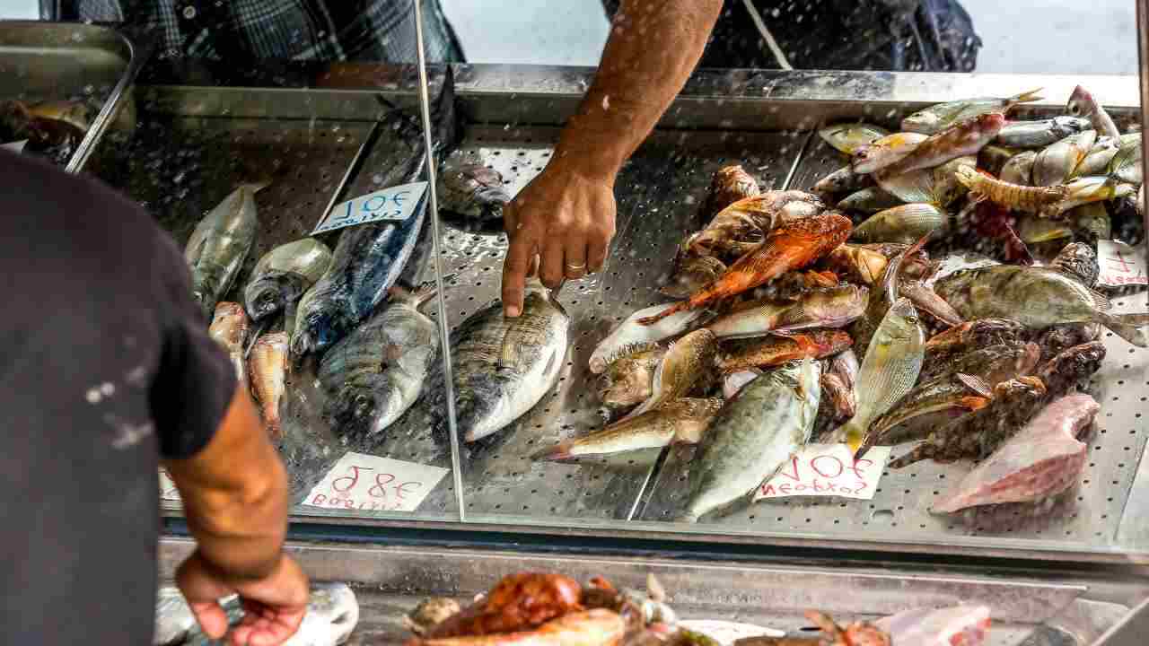 quanto inquina il pesce