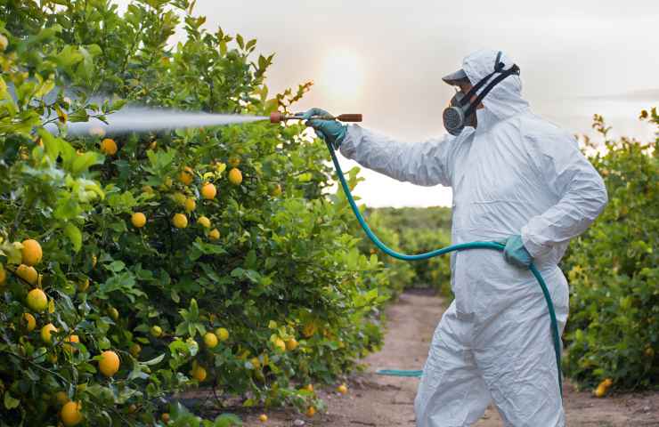 pesticidi novici salute