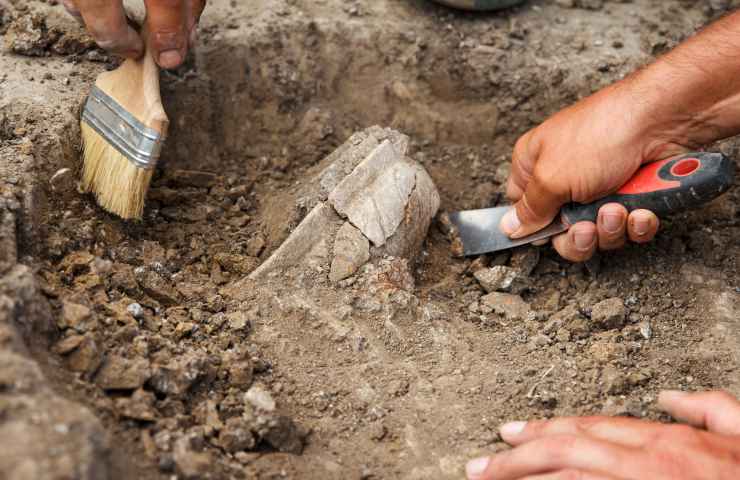 ritrovamento archeologico terreno