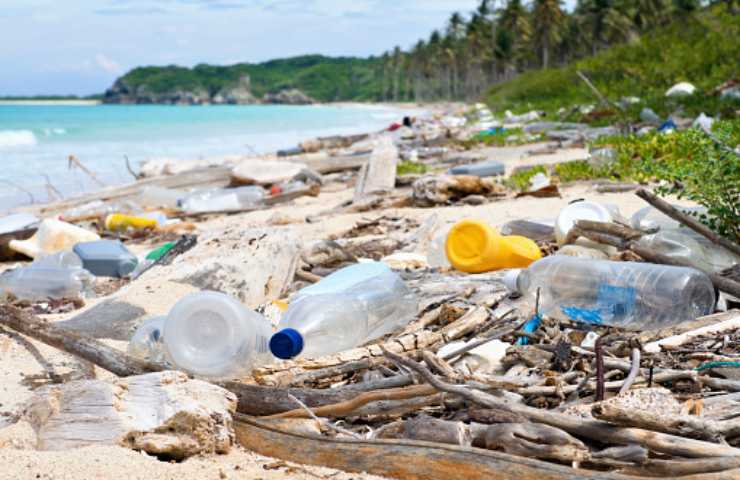 problema rifiuti abbandonati in strada e campagna