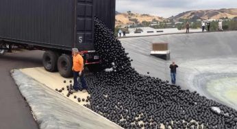 Sfere d’ombra rilasciate nel bacino idrico in California: a cosa servono