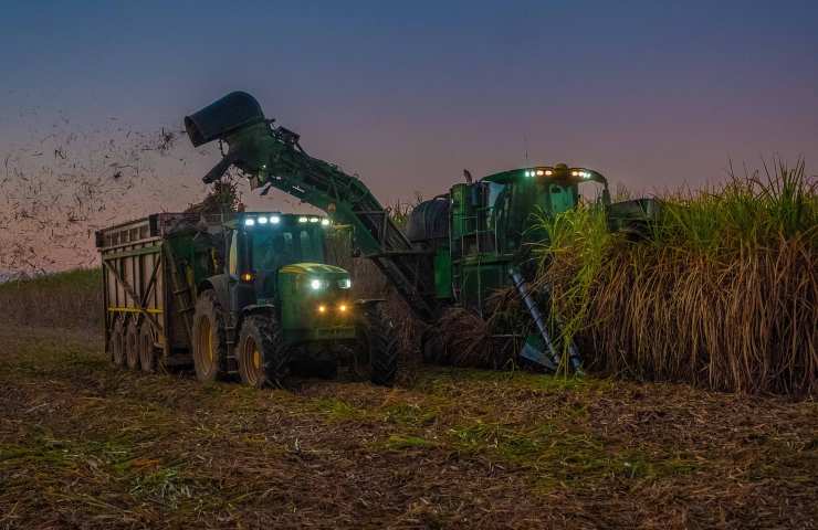 scarti canne da zucchero riutilizzo materiali sostenibili