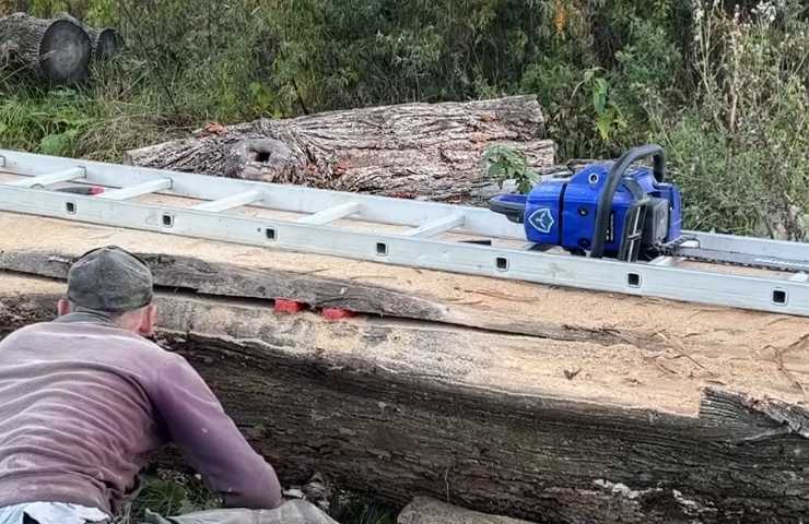 albero con oggetti strani dentro