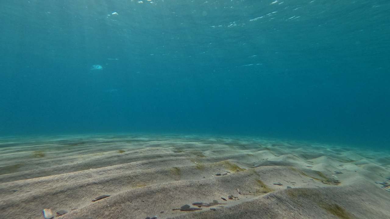 oceano più profondo