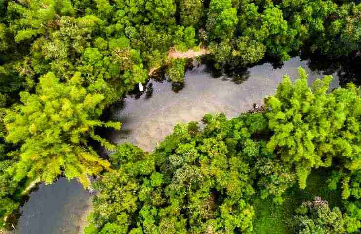 Amazzonia leader indigeni Raoni Metuktire