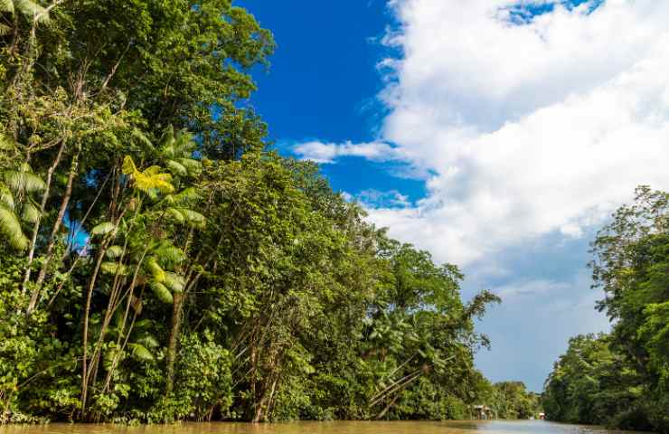 Incontro leader indigeni Amazzonia