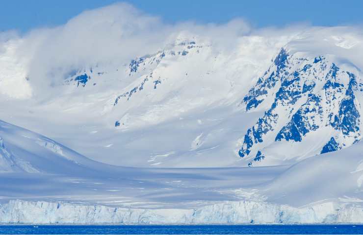 Pinguini imperatore estinzione cuccioli climate change