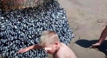 Mentre giocavano in spiaggia i bambini fanno una scoperta: guarda l’assurdo FOTO
