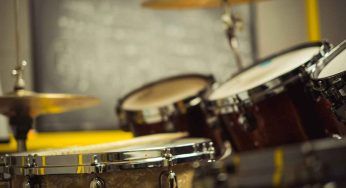 Paura in un’abitazione: trova un serpente nella batteria del figlio