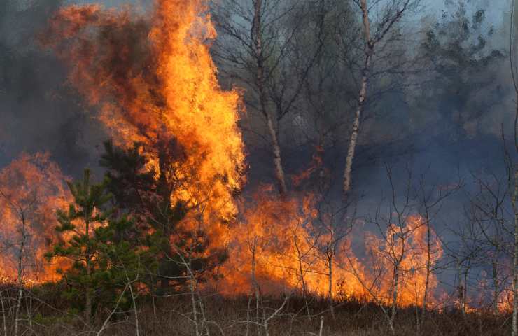 Incendi Terralba è allarme arancione in Sardegna