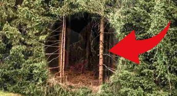 Non hanno idea di cosa sia: le ipotesi non raggiungono l’inaspettata verità