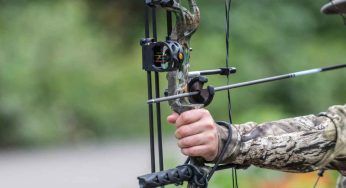 Liguria, con arco e frecce si potrà cacciare la selvaggina