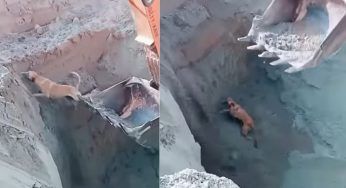 È caduto nello scavo, ma tutti si impegnano per salvarlo – VIDEO