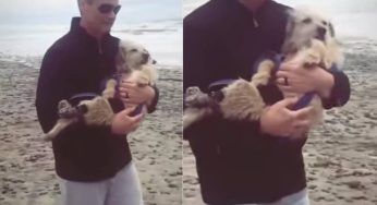 Gli rimangono solo pochi giorni di vita e lo porta per l’ultima volta al mare – VIDEO