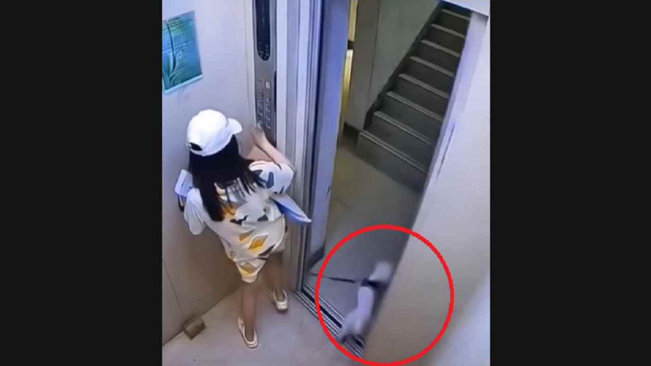 Terribile il momento non se ne e il cane sta per morire VIDEO