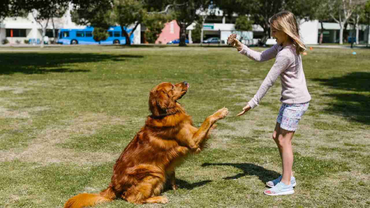 bambina incontra cane reazione 